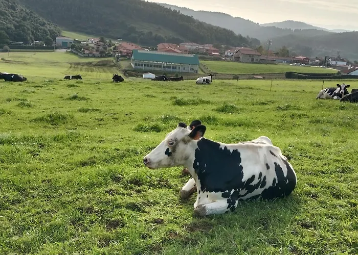 Hospedaje Oreña